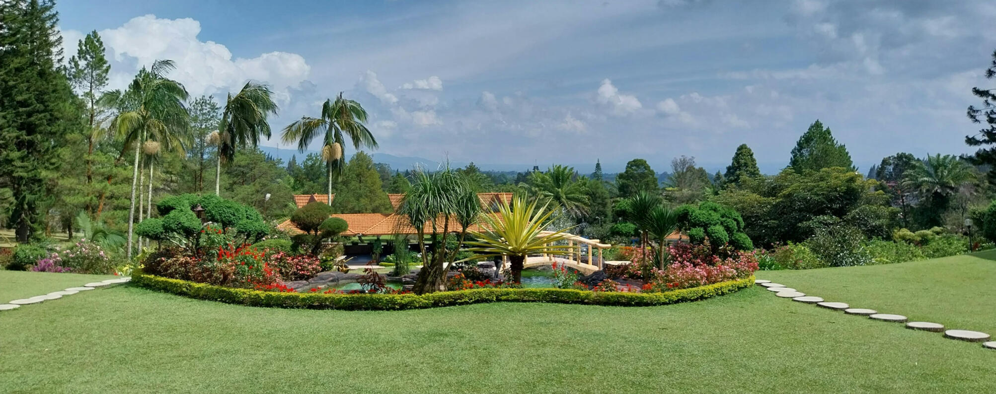 Mantenimiento de jardines Tenerife Mantenimiento de jardines Tenerife