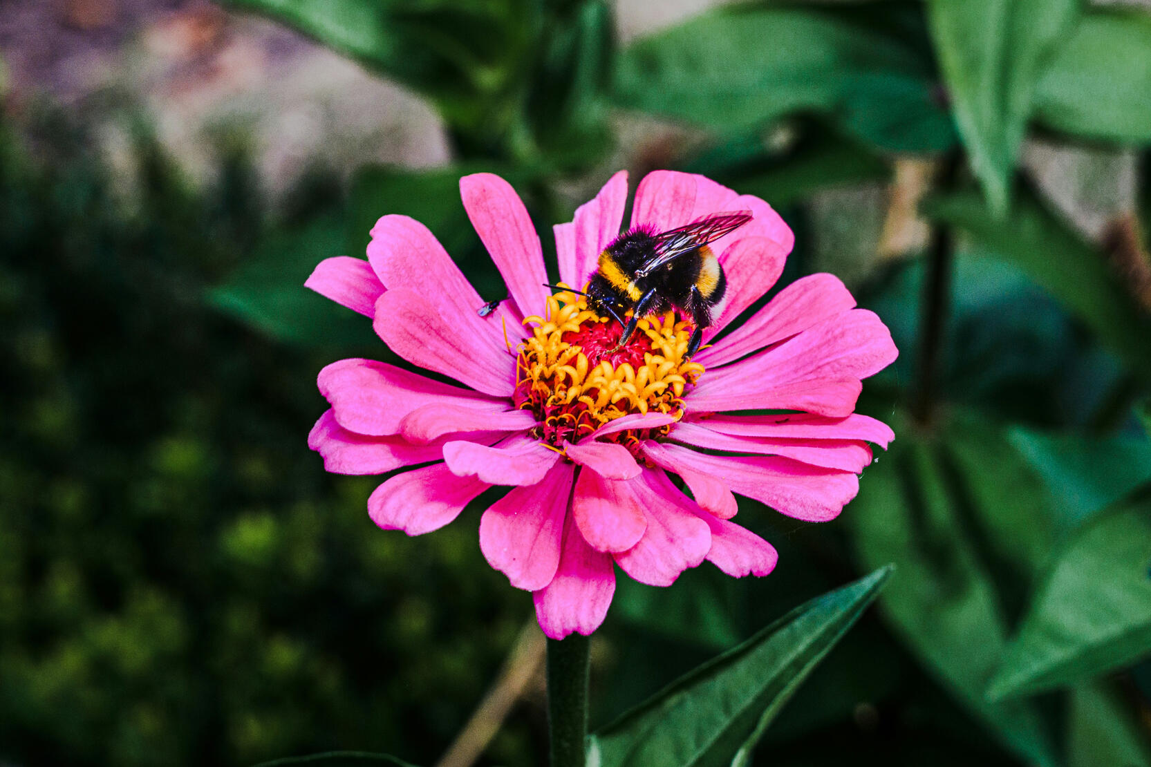 Mantenimiento de jardines respetuoso con el medioambiente Jardineria ecológica